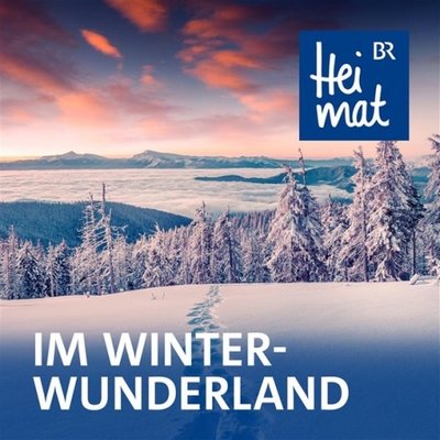 Im Winter-Wunderland